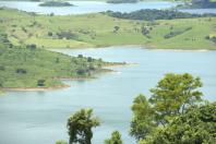 Paraná mais verde: Estado apresentou queda de 73% no desmatamento ilegal da Mata Atlântica entre 2023 e 2024.