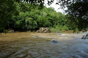 RIO PIQUIRI