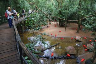 parque das aves