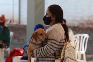 Castrapet em Formosa do Oeste