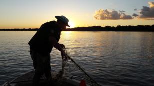 A pesca em todas as suas modalidades está proibida na Bacia Hidrográfica do Rio das Cinzas e de seus afluentes. A decisão, prevista na Portaria nº 242/2021, publicada nesta semana em Diário Oficial pelo Instituto Água e Terra (IAT), considera a proteção e a gestão integrada dos recursos ictiológicos existentes, frente ao período crítico de escassez hídrica. - Curitiba, 30/07/2021 - Foto: SEDEST