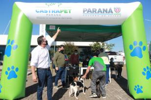 O Programa Permanente de Esterilização de Cães e Gatos ? Castrapet chega a Campo Mourão nesta terça-feira (03). Ao todo, 405 animais são aguardados no castramóvel do Governo do Paraná, entre cães e gatos. O programa é permanente e a meta é atingir 100% do Estado. - Curitiba, 02/08/2021 