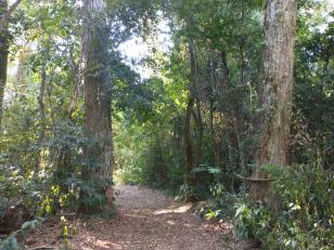 Reserva