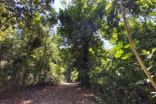 RPPN Fazenda Santa Fé