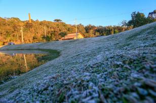 FRIO