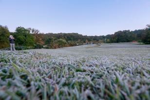 Com temperatura de até -3,9°C, Paraná tem madrugada mais fria do ano em 44 cidades