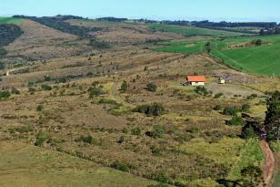 Plano de maneo