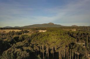 Paraná terá lei específica para integrar o Consórcio Interestadual sobre o Clima