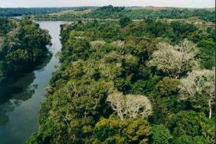 Governador sanciona leis que incentivam novas práticas ambientais