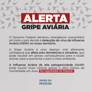 Influenza Aviária