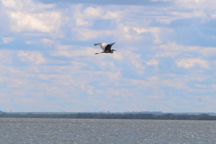 Ilhas e rios do Paraná