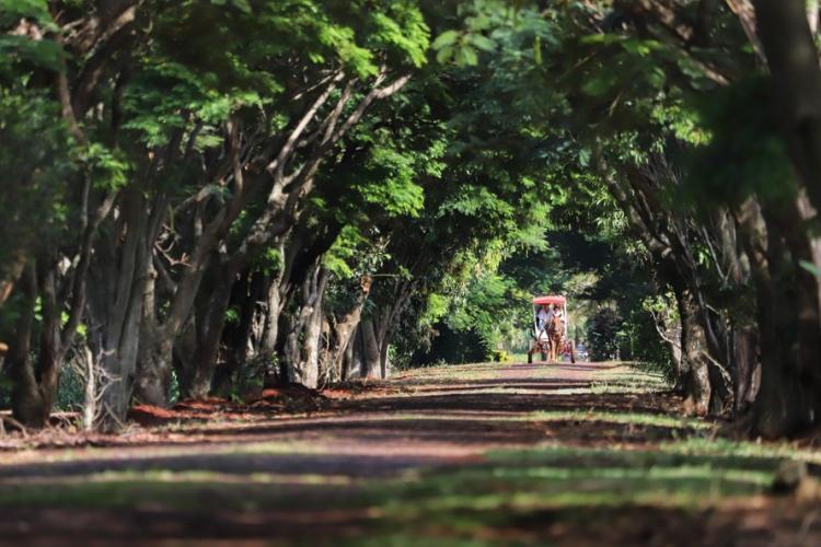 Potencial turístico do Paraná entra na agenda do governador nos EUA