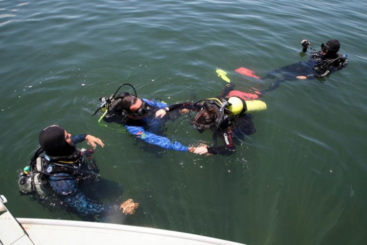 Ilhas e rios do Paraná