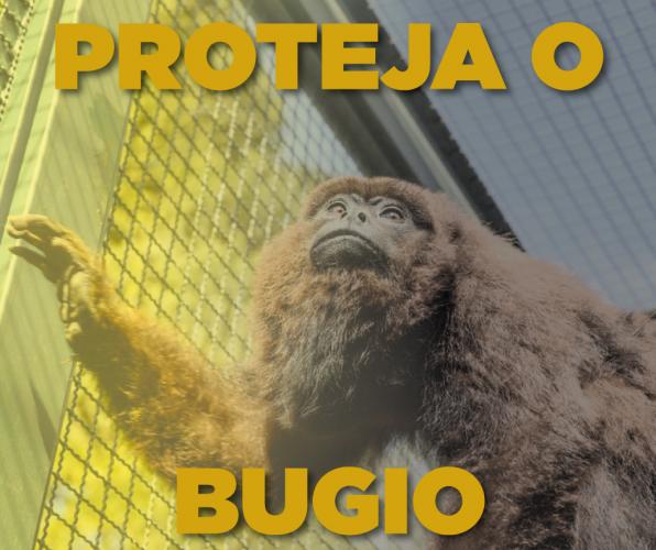 Proteja o Bugio