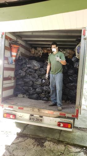 recolhimento de lâmpadas