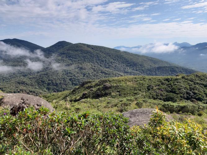 Reabertura dos parques