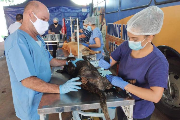 Foto: Prefeitura de Alto Paraná