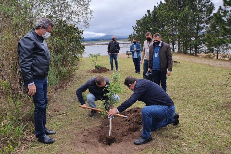 plantio de árvores no Rio Iraí