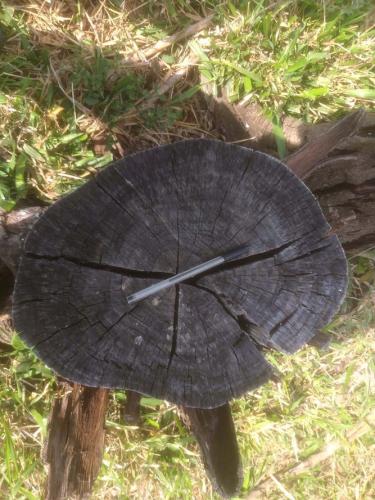 Operação mata atlantica