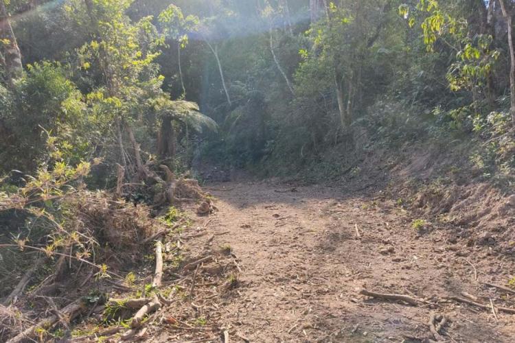 Operação mata atlantica