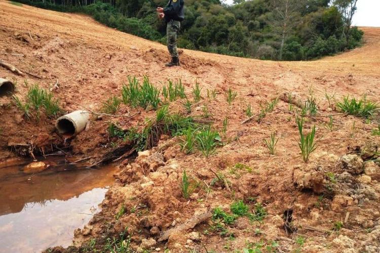 Operação mata atlantica