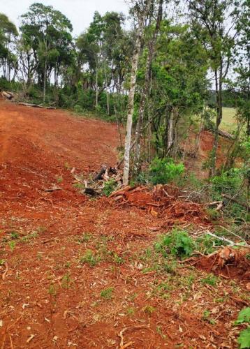 Operação mata atlantica