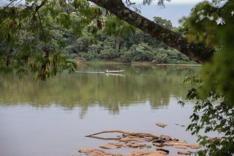 O Instituto Água e Terra (IAT), vinculado à Secretaria do Desenvolvimento Sustentável e do Turismo, informa que inicia neste domingo (1º) o período de restrição à pesca de espécies nativas no Paraná – a piracema. A determinação deve ser cumprida até 28 de fevereiro de 2021.