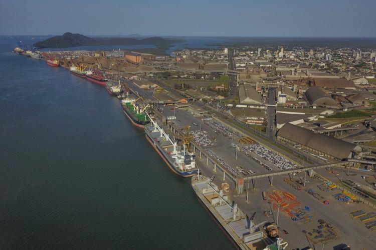 terminal de celulose