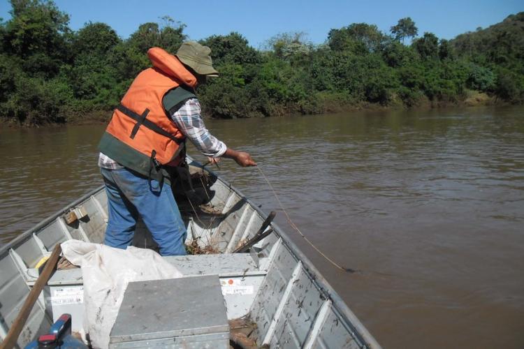 O Instituto Água e Terra (IAT), vinculado à Secretaria do Desenvolvimento Sustentável e do Turismo, informa que inicia neste domingo (1º) o período de restrição à pesca de espécies nativas no Paraná – a piracema. A determinação deve ser cumprida até 28 de fevereiro de 2021.