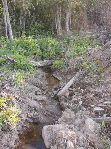 resultados operação mata atlantica iat