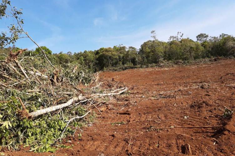 resultados operação mata atlantica iat