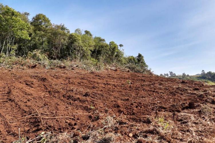 resultados operação mata atlantica iat