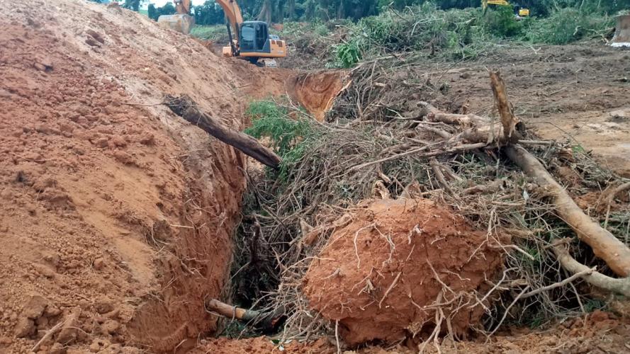 Desmatamento ilegal em São José da Boa Vista