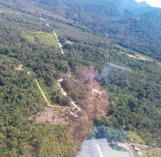 Corte irregular de vegetação Nativa no Litoral