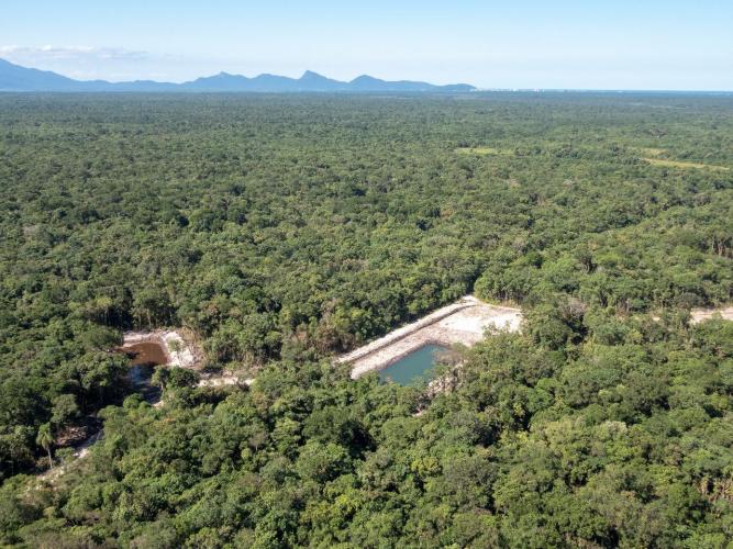 Corte irregular de vegetação Nativa no Litoral