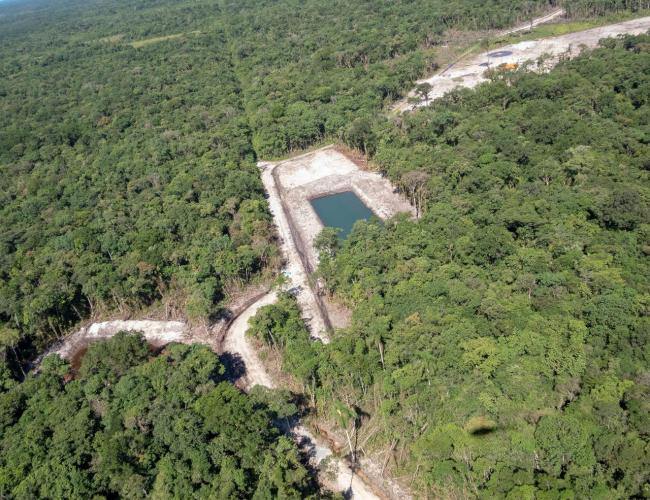 Corte irregular de vegetação Nativa no Litoral