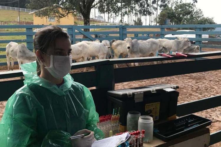 Pesquisa pretende prever possíveis pandemias provocadas pela relação do homem com os animais . Foto: Adapa