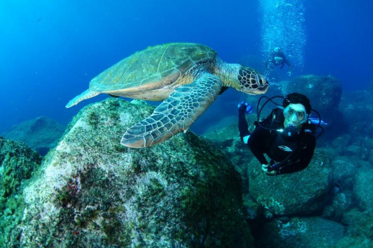Programas e ações de conservação e restauração garantem a biodiversidade do Paraná. Foto: Denis Ferreira Netto/SEDEST