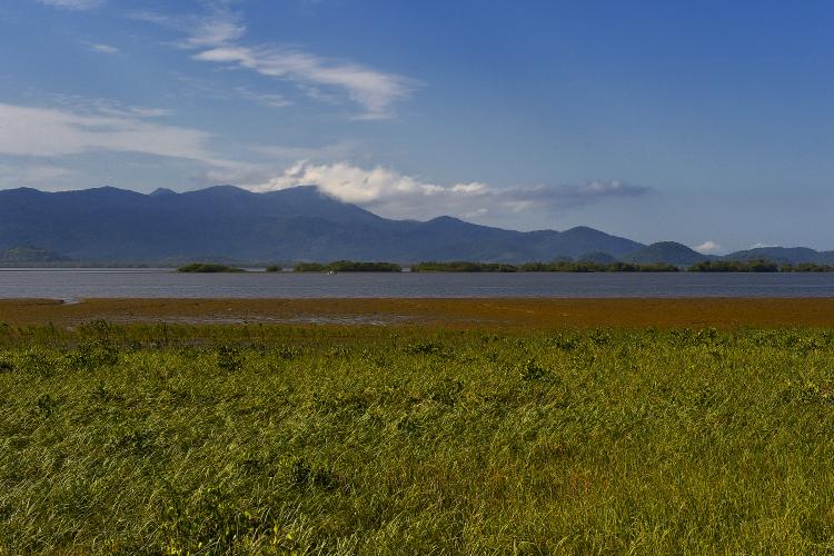 Programas e ações de conservação e restauração garantem a biodiversidade do Paraná. Foto: Denis Ferreira Netto/SEDEST