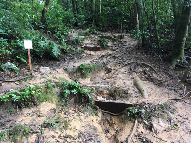 As trilhas do Parque Estadual Pico do Paraná e do Morro do Anhangava, atrativo do Parque Estadual Serra da Baitaca, receberam manutenção através de voluntários, neste final de semana. Ambos estão localizados na Região Metropolitana de Curitiba (RMC). - Curitiba, 14/05/2021 - Foto: Divulgação SEDEST
