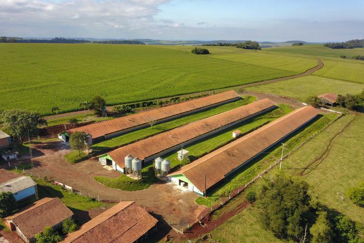 Lives do IAT explicam processos e importância do licenciamento ambiental. Foto: José Fernando Oura/AEN