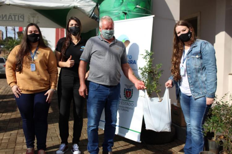 Distribuição de mudas Pitanga