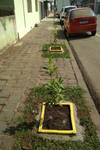 Junho foi marcado com ações em prol do meio ambiente. A Sedest e o IAT promoveram lives, distribuição de mudas em troca de alimentos, produção de vídeos institucionais e campanha nas redes sociais. O objetivo foi despertar a educação ambiental em toda a sociedade - Curitiba, 30/06/2021 - Foto: Denis Eduardo Bednarchuk