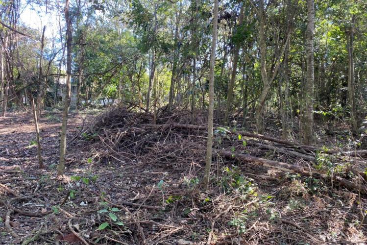 CIANORTE - O projeto Parques Urbanos do Paraná é o maior do Brasil, afirmou o secretário estadual do Desenvolvimento Sustentável e do Turismo, Márcio Nunes. Ele esteve nesta semana na região Noroeste para acompanhar as obras de quatro Parques Urbanos. São áreas de fundo de vale que serão recuperadas e reaproveitadas como espaços de lazer e turismo aos moradores, aliado à preservação ambiental. - 02/07/2021 - Foto: Divulgação SEDEST