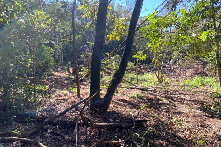 CIANORTE - O projeto Parques Urbanos do Paraná é o maior do Brasil, afirmou o secretário estadual do Desenvolvimento Sustentável e do Turismo, Márcio Nunes. Ele esteve nesta semana na região Noroeste para acompanhar as obras de quatro Parques Urbanos. São áreas de fundo de vale que serão recuperadas e reaproveitadas como espaços de lazer e turismo aos moradores, aliado à preservação ambiental. - 02/07/2021 - Foto: Divulgação SEDEST