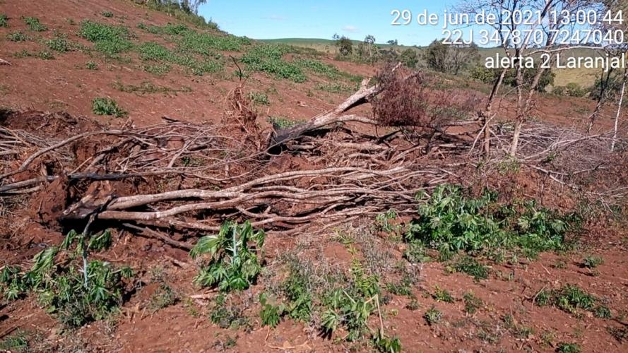 Fiscais do Instituto Água e Terra (IAT) identificaram mais de 100 hectares (ha) de desmatamento na região Centro-Sul do Estado, na última semana. O IAT é um órgão vinculado à Secretaria do Desenvolvimento Sustentável e do Turismo (Sedest). - Curitiba, 05/07/2021 - Foto: SEDEST/IAT