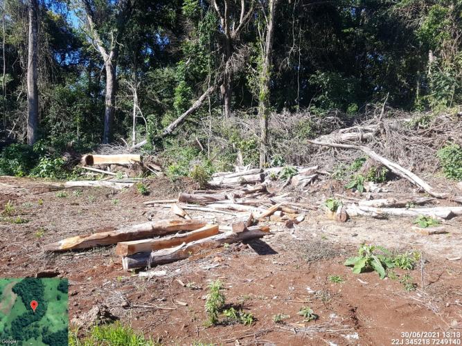 Fiscais do Instituto Água e Terra (IAT) identificaram mais de 100 hectares (ha) de desmatamento na região Centro-Sul do Estado, na última semana. O IAT é um órgão vinculado à Secretaria do Desenvolvimento Sustentável e do Turismo (Sedest). - Curitiba, 05/07/2021 - Foto: SEDEST/IAT