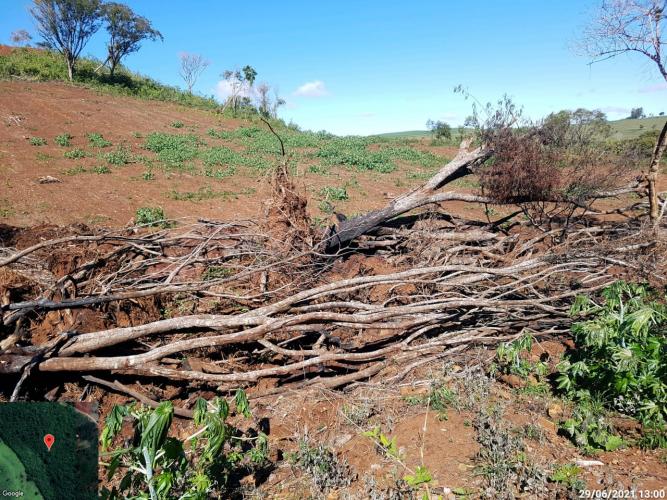 Fiscais do Instituto Água e Terra (IAT) identificaram mais de 100 hectares (ha) de desmatamento na região Centro-Sul do Estado, na última semana. O IAT é um órgão vinculado à Secretaria do Desenvolvimento Sustentável e do Turismo (Sedest). - Curitiba, 05/07/2021 - Foto: SEDEST/IAT