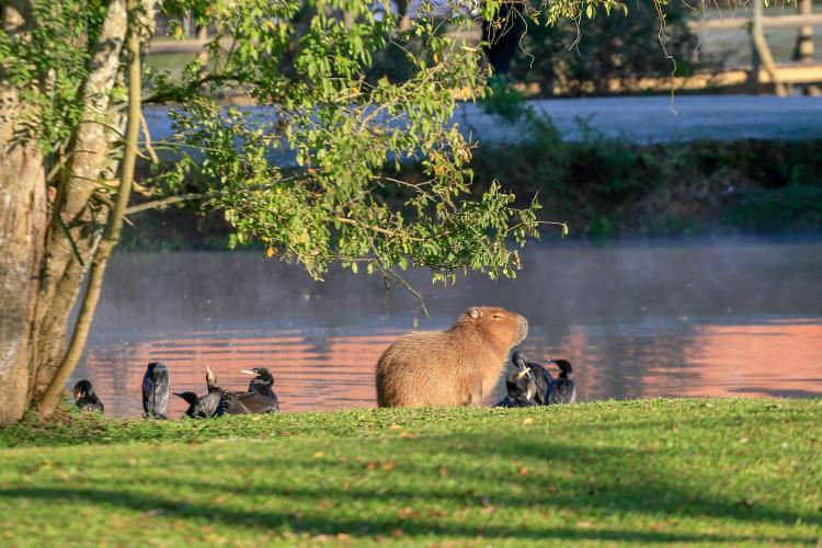 Mais 13 municípios batem recorde de temperaturas baixas para o ano no Paraná