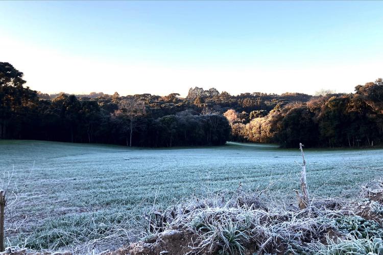 Mais 13 municípios batem recorde de temperaturas baixas para o ano no Paraná